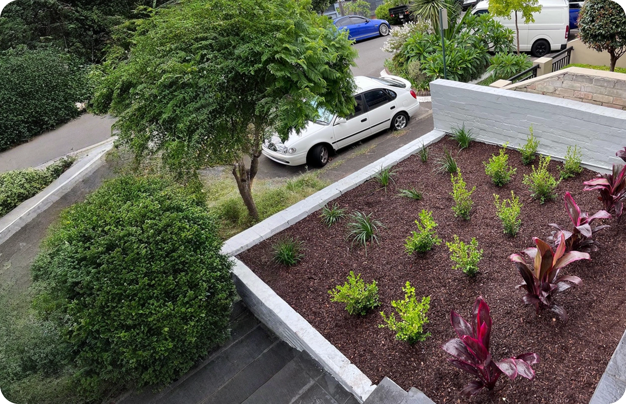 Cleaning & Lawn Mowing